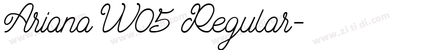 Ariana W05 Regular字体转换